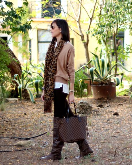 Image Hosted by ImageShack.us