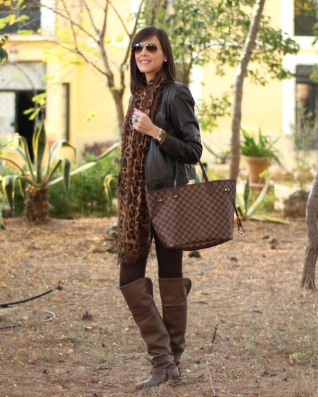 Image Hosted by ImageShack.us