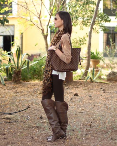 Image Hosted by ImageShack.us