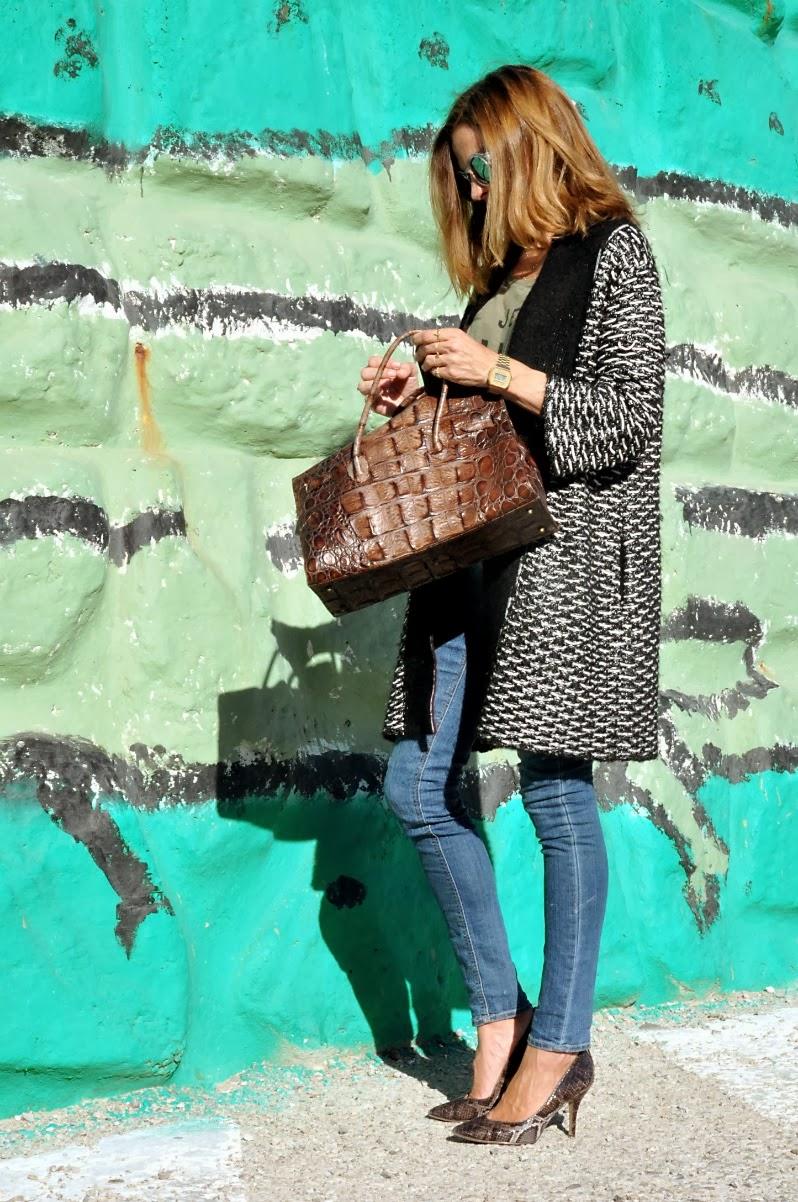 SERPIENTE Y COCODRILO