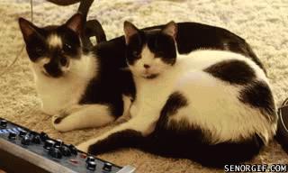 NAKED3, ahora si que sí, Y EN ALIEXPRESS YA ESTA DISPONIBLE...