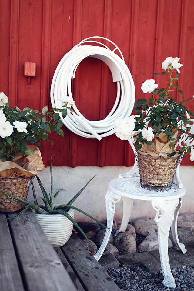 GARDEN GLORY by MAMBO NA MAMBO