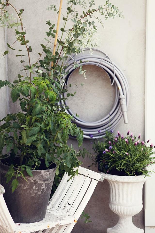 GARDEN GLORY by MAMBO NA MAMBO