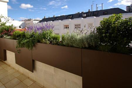 foto jardin 09 Jardin de diseño moderno en Madrid para la terraza de un atico