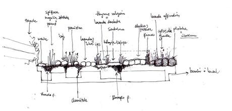 croquis jardin plantacion Jardin de diseño moderno en Madrid para la terraza de un atico