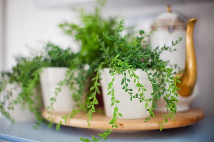 UN APARTAMENTO PARISINO DE TINTES BOHEMIOS