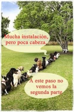 Horarios, sanciones y designaciones del fútbol gallego (9 y 10 de Noviembre 2013)