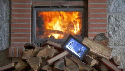 Quema de libros pornográficos en Internet