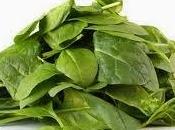 Papilla espinacas queso meses