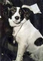 Pickles, el perro que salvó una Copa del Mundo de fútbol