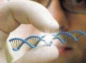 nueva técnica denominada CRISPR facilitará remoción genes defectusos