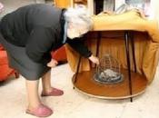 mesa camilla Sala Blas