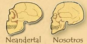 El clan del oso cavernario