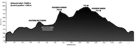 II CARRERA POR MONTAÑA VIRGEN DEL REMEDIO - PETRER