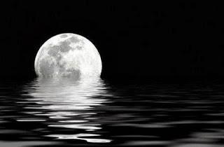 Obtuve una sonrisa de el