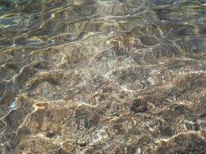 ELEMENTOS DE LA NATURALEZA CHINA WU XING AGUA megustaelmedionatural