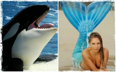 Y este verano, ¿qué vas a ser? ¿SIRENA o BALLENA?