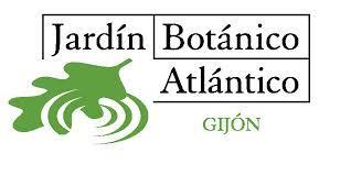 Planes con niños en Gijón del 8 al 15 de noviembre