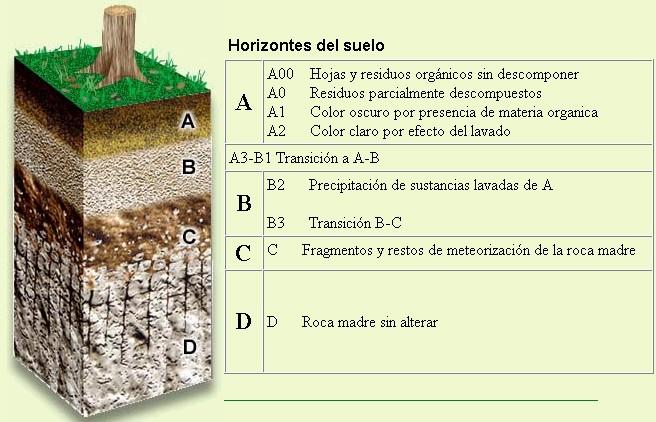 La roca madre, apuntes para curiosos, estudiantes y otros animales