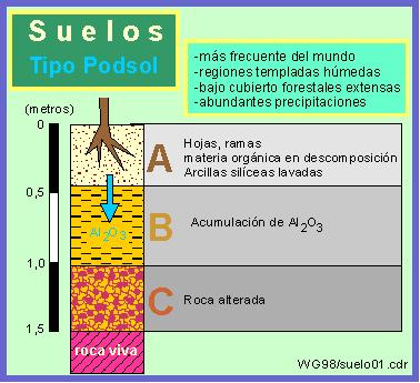 La roca madre, apuntes para curiosos, estudiantes y otros animales