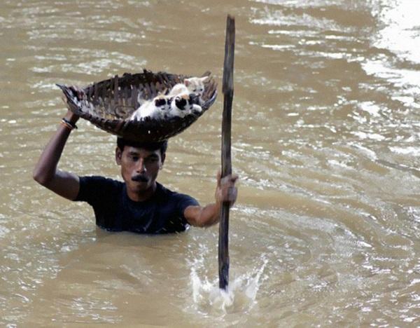 30 fotografias mas poderosas