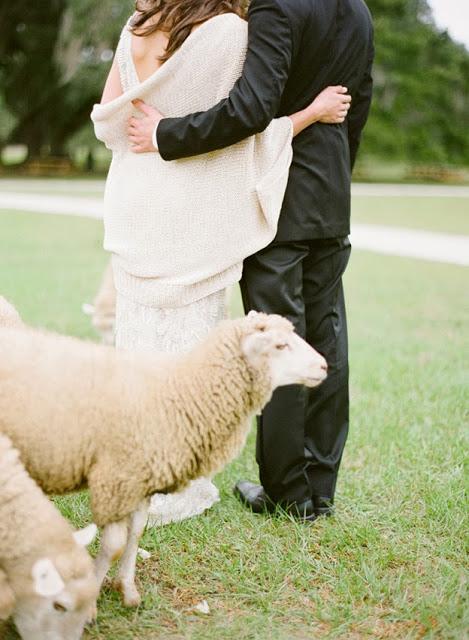 UNA BODA EN EL CAMPO....RODEADA DE NATURALEZA
