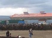 Juan hernández fredy castro fueron primeros triunfadores rodeo magallanes