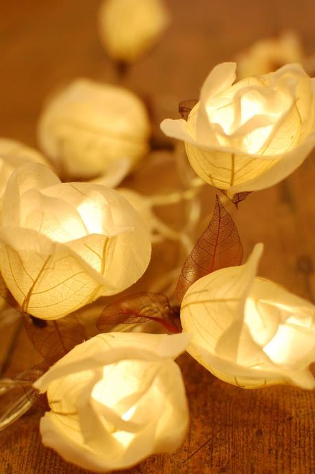 Repasando la Semana... Repasando la Semana...