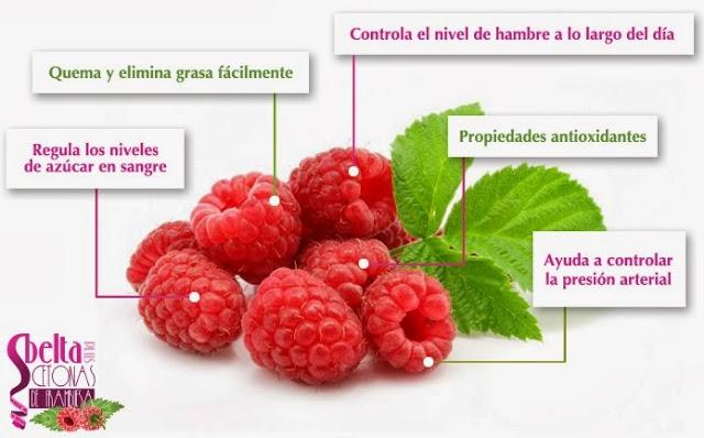 Cetonas de Frambuesa – parte II