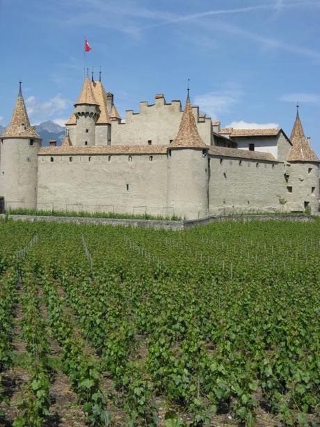 ¿Nos adentramos en el Enoturismo? file7441341325550