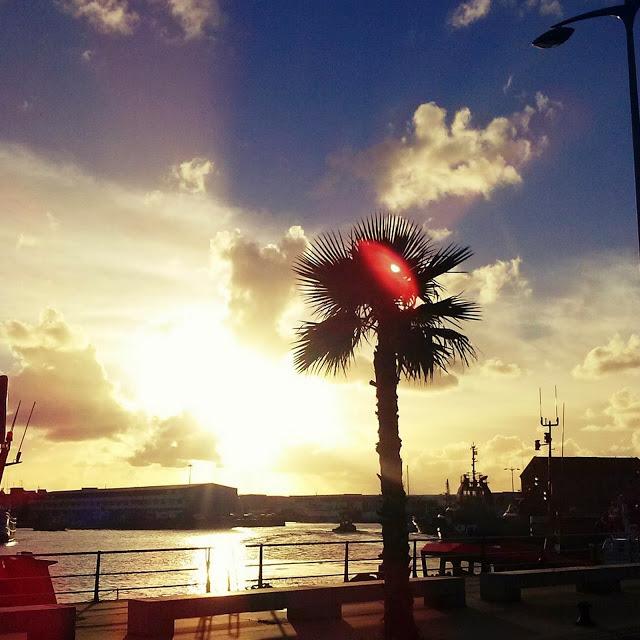 Bye Week! 10/November