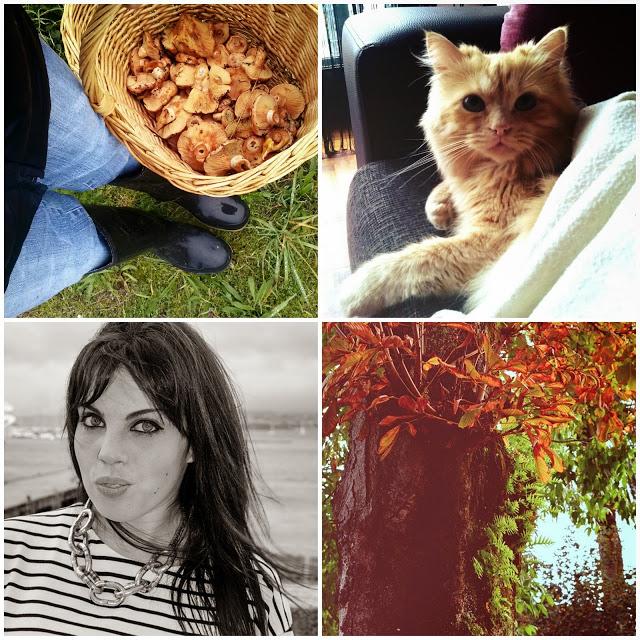 Bye Week! 10/November