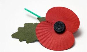 Remembrance-day-poppy--007