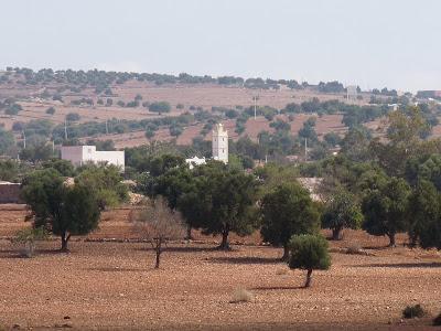 Nos vamos de excursión a Essaouira