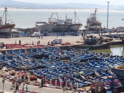 Nos vamos de excursión a Essaouira