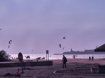 Nos vamos de excursión a Essaouira