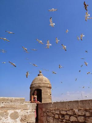 Nos vamos de excursión a Essaouira