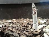 Androidografia Barakaldo CCCLXX. Otro Bosque