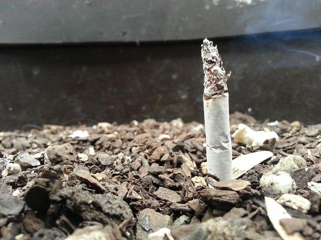 Androidografia Barakaldo 1576