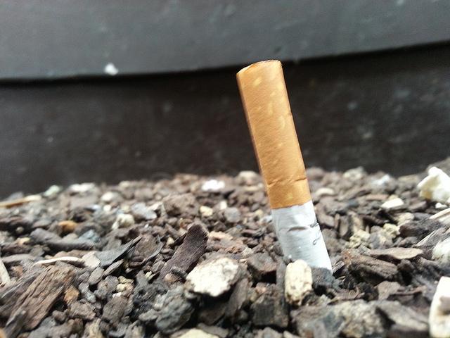 Androidografia Barakaldo 1577