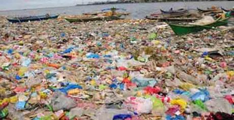 Bolsas de plástico: La insuficiente política de la UE para reducir su uso Las bolsas de plástico invaden nuestros mares