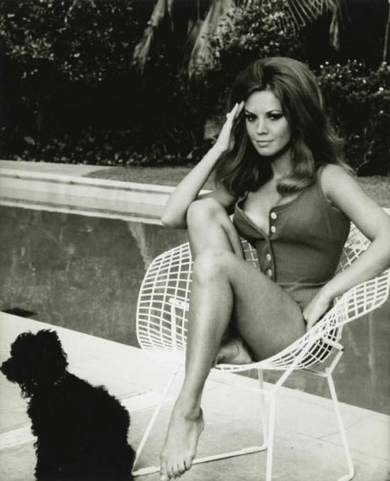 1. Bertoria en Pinceladas de Inspiracion