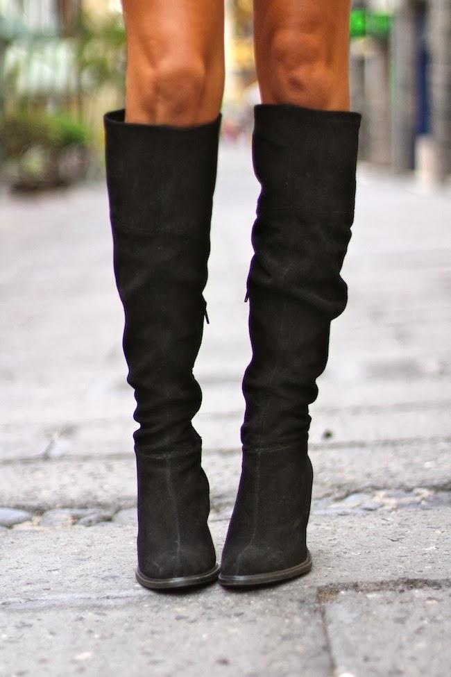 Pop of leopard