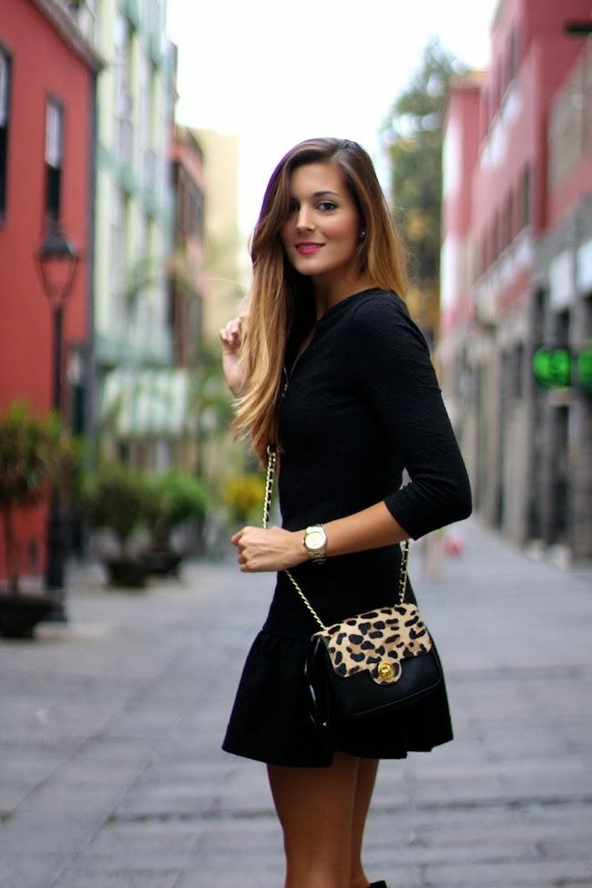 Pop of leopard