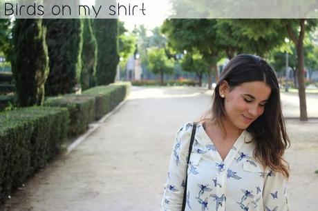 W.I.W: Birds on my shirt W.I.W: Birds on my shirt