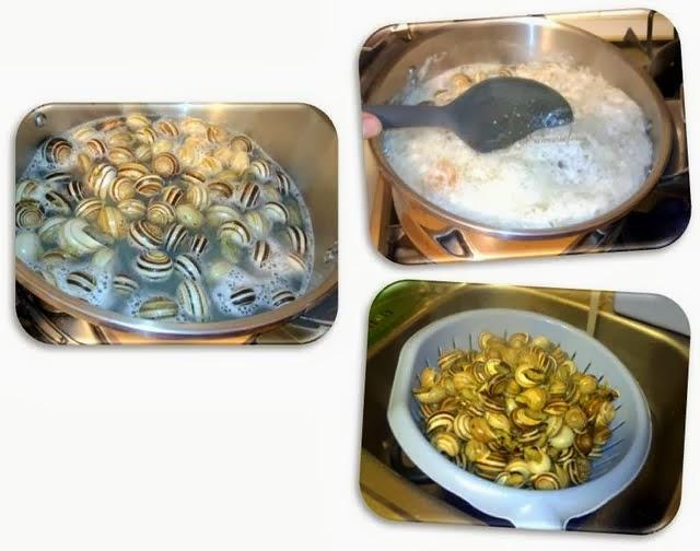 Caracoles en salsa