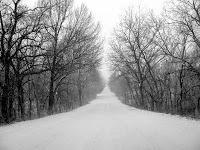 Entre tonos de gris de Ruta Sepetys