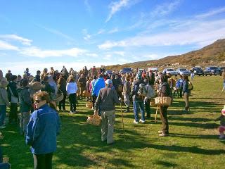 Rotundo éxito del Día de la Seta en su XXXII edición.