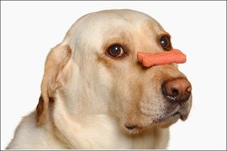 COMPULSIVA? ya no...