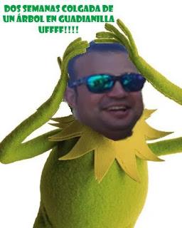 Fin de la liguilla AGR